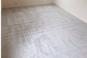 カーペット洗浄