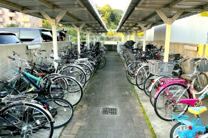 共用部・屋外残置物の撤去